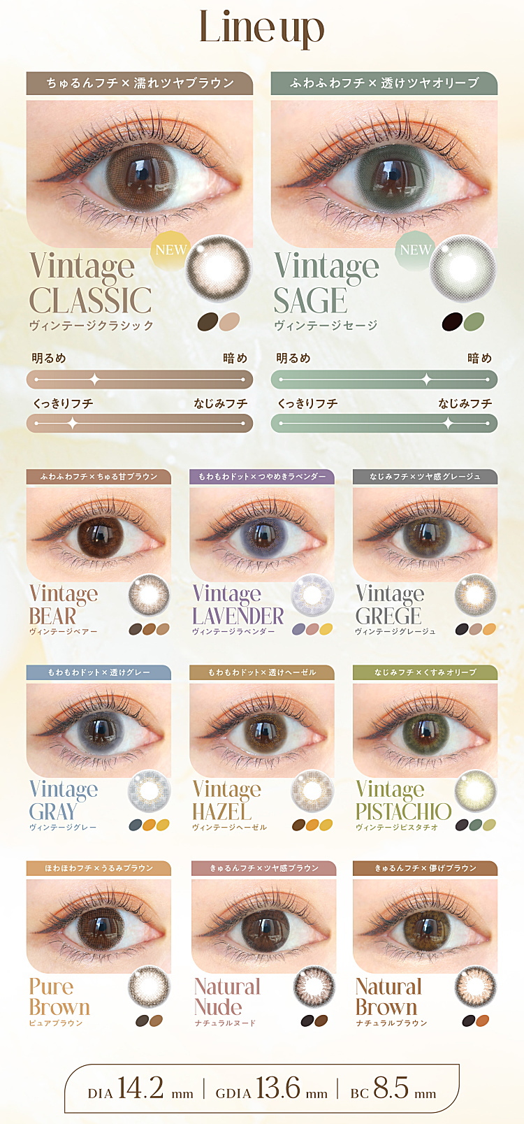 ヴィンテージ のカラーラインナップ