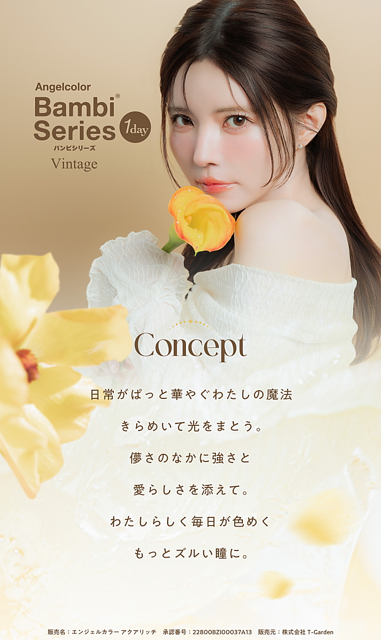 ヴィンテージのコンセプト