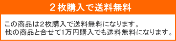 2枚で送料無料