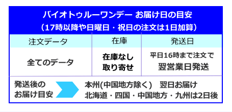 バイオトゥルーワンデーの発送日とお届け日の目安