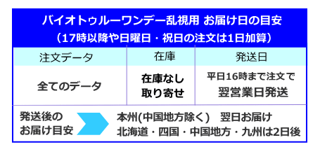 バイオトゥルーワンデー乱視用の発送日とお届け日の目安