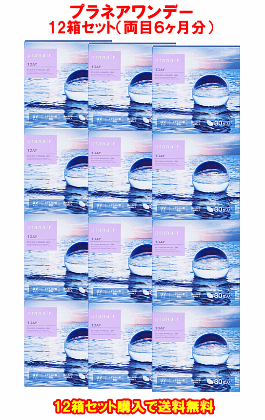 プラネアワンデー12箱セット