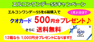 エルコンワンデー55を6箱購入でクオカード500円分プレゼント
